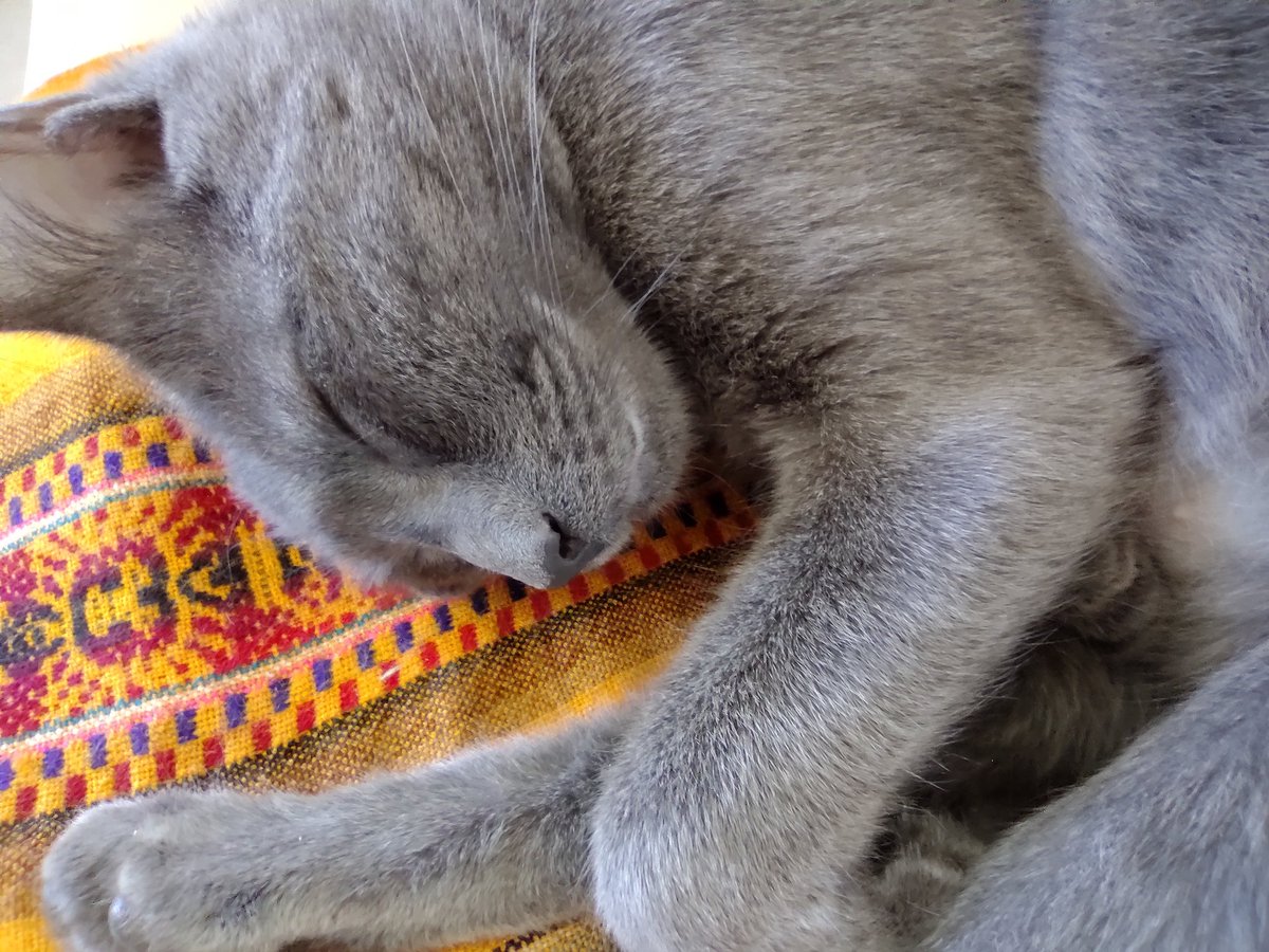 upper_arg's tweet photo. Acá con estás fotos les voy adelantando un poco el rendimiento de las camaras del Motorola One Fusión !!
@motorola_AR #onefusion #motorolaonefusion https://t.co/7le1iNgUPU