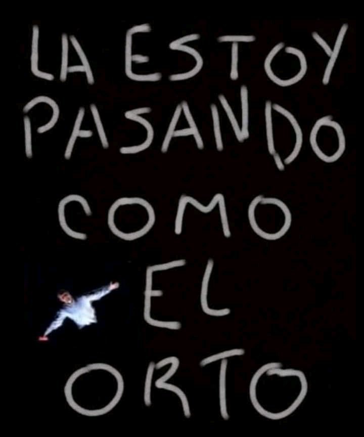 Sσϝια ❀ (@sofivacchini) on Twitter photo 