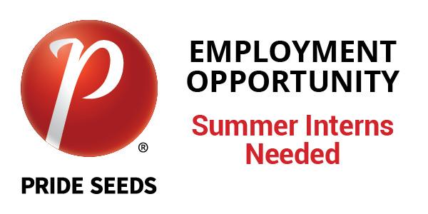 PRIDESeeds's tweet photo. Summer interns needed! Apply by November 30th. Hiring in Manitoba and Alberta. Find out more here https://t.co/N9rq7zpfr5 #PRIDESeedsWest #WestCdnAg https://t.co/QvH2O91sDD
