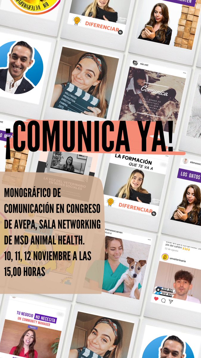 albertofparron's tweet photo. ¿Sabes que puedes tener acceso a un monográfico completo sobre comunicación veterinaria?

Si, y lo podrás disfrutar los días 10, 11 y 12 de noviembre a las 15,00 horas en la sala interactiva de networking de @MSDAH_es del congreso de @AVEPA_vet @The_SEVC

#ComunicaYa #sevconline https://t.co/mNSmn0vSvc