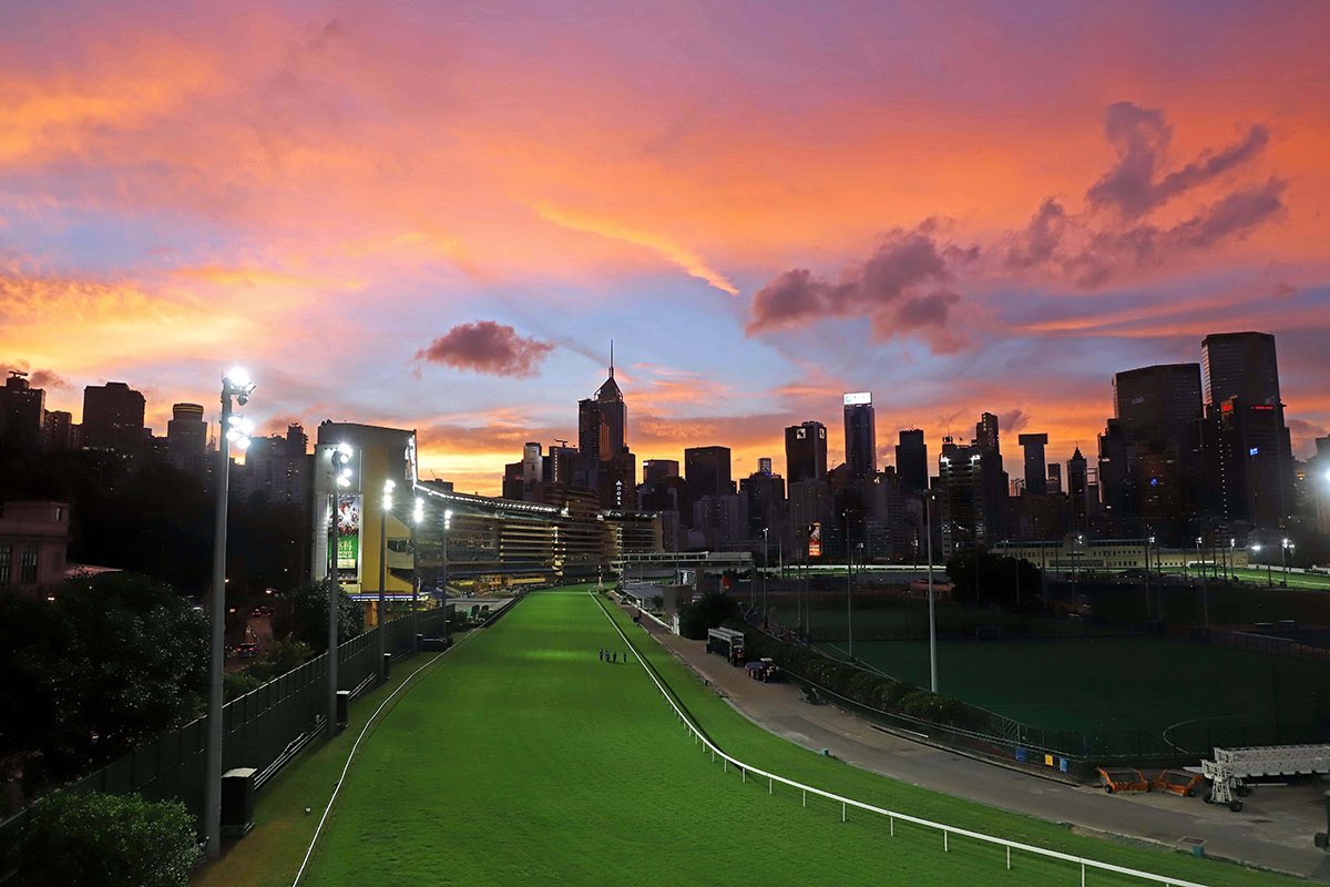 HKJC_Racing's tweet image. This week on HK Direct: @LJ__andrew meets the tracks team at Happy Valley for a look around one of the world’s most iconic racecourses, + @edward_sadler and @sam_agars preview a rare weekend meeting at the city circuit. #HKracing 

📺 bit.ly/2JKVNRq