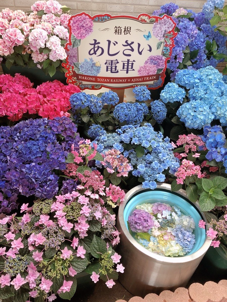 peacozy's tweet photo. https://t.co/Sgoob2H1rk
