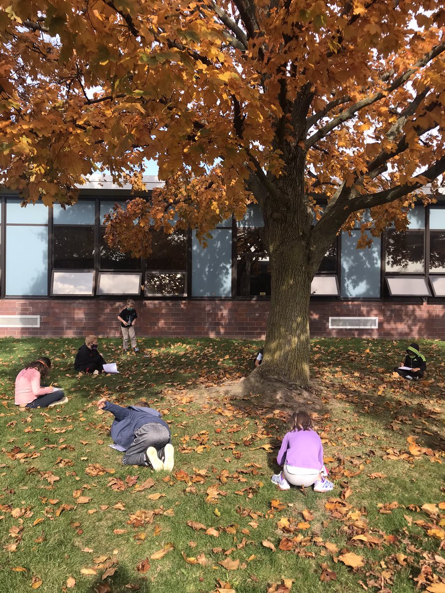 dduffy524's tweet photo. It was a great day to get outside for some inquiry 🍁☀️✏️ @QuestElementary https://t.co/jprMtwpUmD