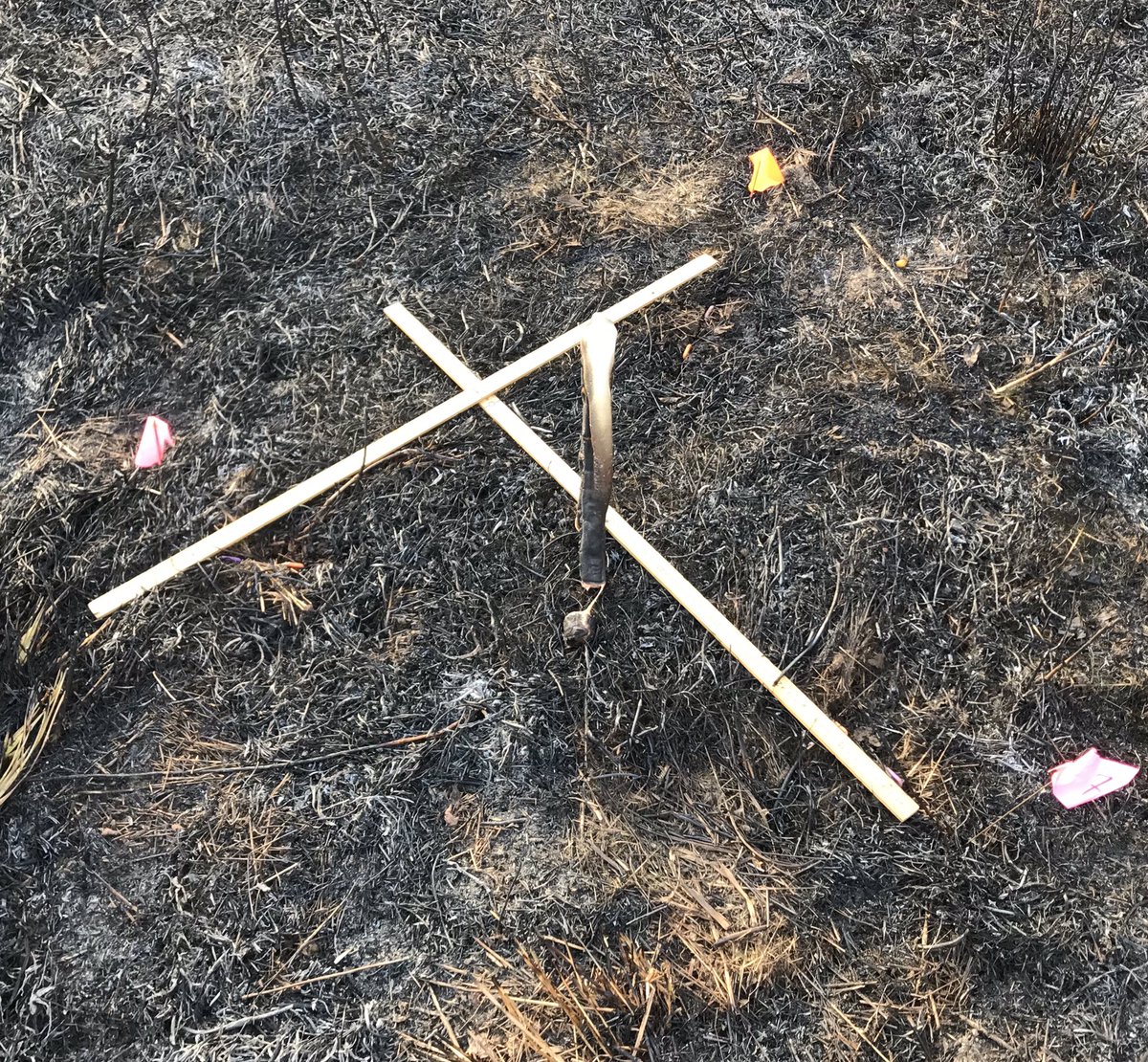yockfire's tweet photo. Always easier to insert #PRSprobes after a burn! In 2 weeks, the probes will be extracted and sent, along with the preburn probes, to @Western_Ag in Saskatoon. Students are looking forward to some #soilnutrientsupply results! https://t.co/MwIFhH9xaP