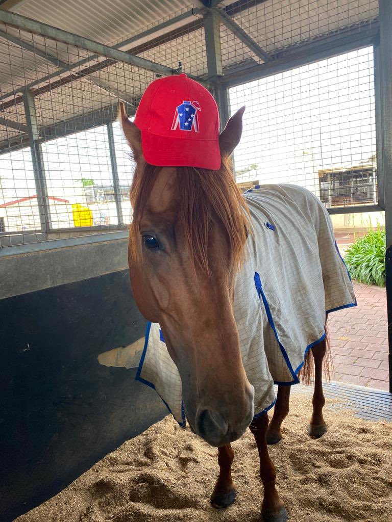 DalasanOfficial's tweet photo. #Mackinnonstakes Looking forward to putting on a show today at Flemington to end the carnival!🐎💨@MacdonaldRacing @millparkstud @Racing @TheRacesSA @SAbreeders @jamieleekah07 https://t.co/kFFXbeMAB8