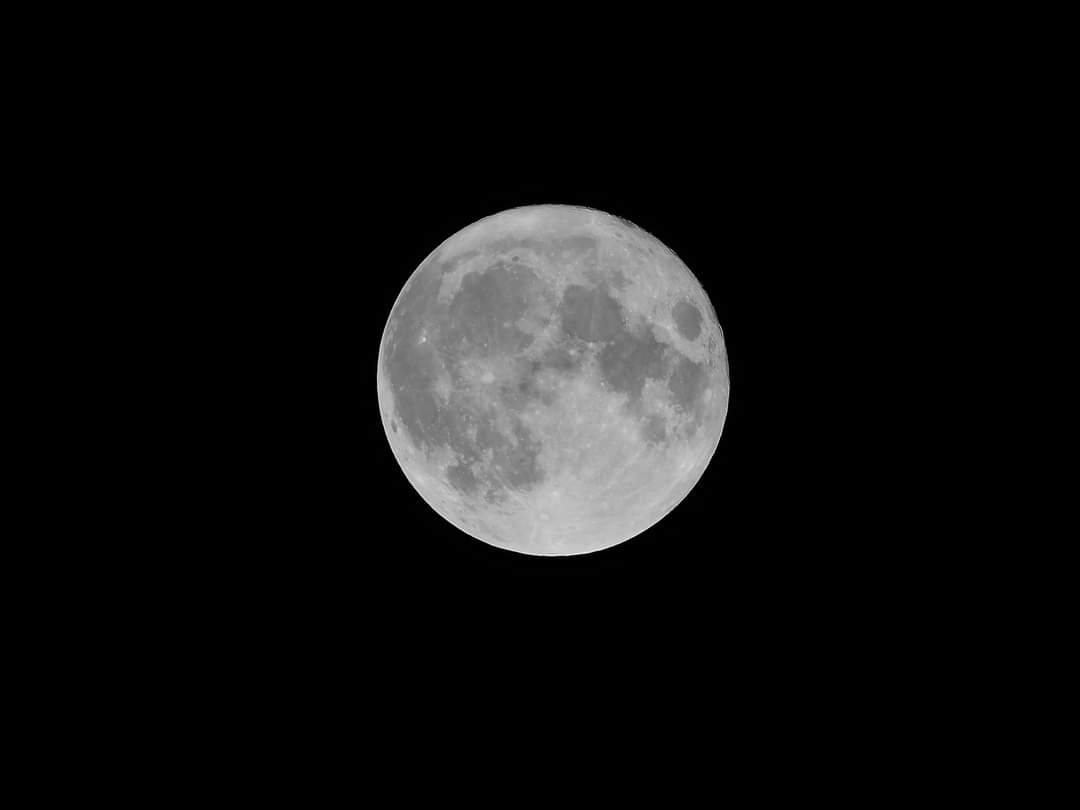 FrostCoreStudio's tweet photo. Here are some shots of the full moon cycle Oct1st-Oct31st I have more on my deviant art page, link on my profile if interested. #fullmoon #October #bluemoon2020 #photography #space #astrophotography #nightsky #art #ArtistOnTwitter https://t.co/0HB3c5iJqp