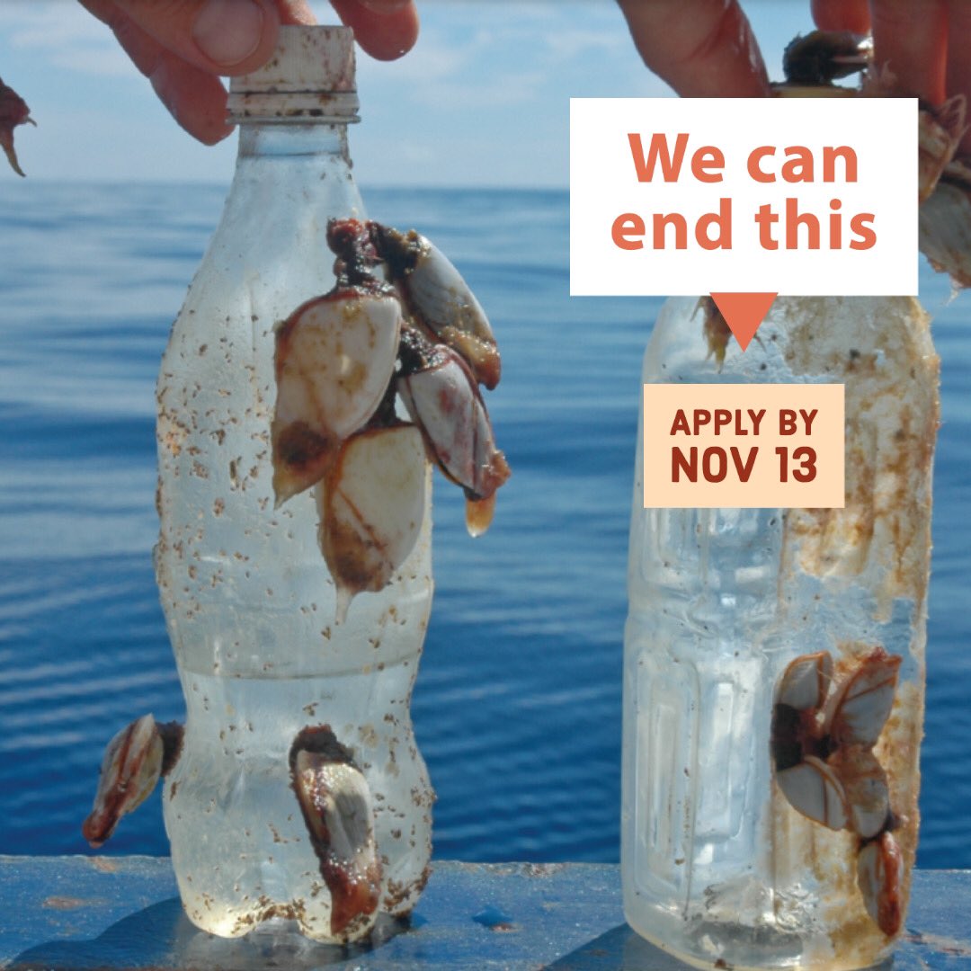 RadyOcean's tweet photo. Apply by Nov 13! Free accelerator program to design solutions to ocean #plasticpollution with experts from Smithsonian @OceanPortal @pewenvironment @AMNH &amp; more! Link in bio https://t.co/TrKJytxGEn