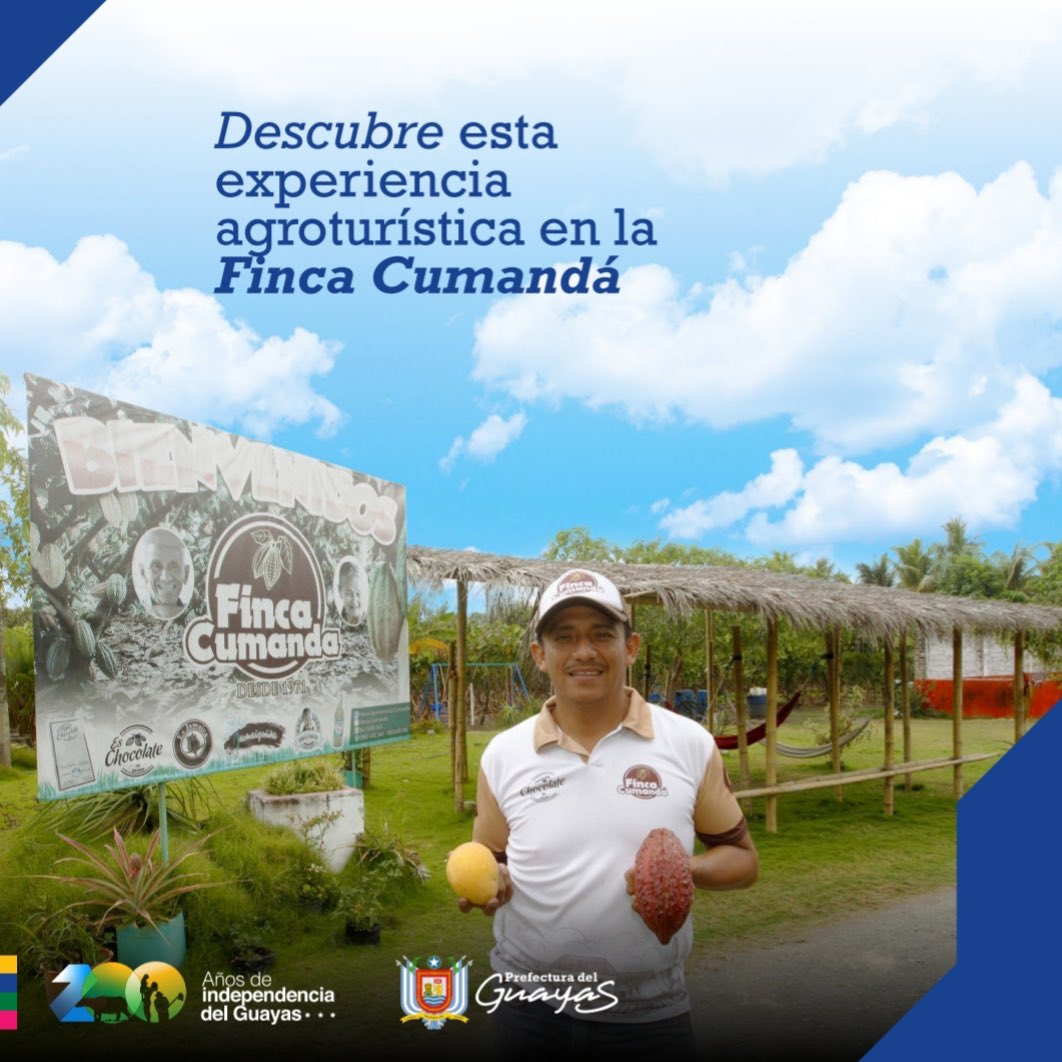 guayasrenace's tweet photo. #Guayas te invita a sentir la belleza del campo, a vivir la agricultura en primera fila y a disfrutar de los más exóticos frutos que nacen de esta tierra. 

¡En este fin de semana sé parte de esta experiencia agroturística en Finca Cumandá!

099 747 0340 Rody Espinoza https://t.co/BBtegDyI8K