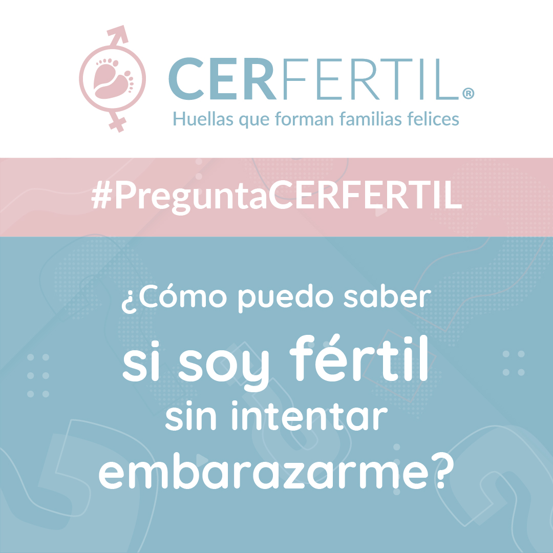⁉️¿Quieres que responda tus preguntas en una historia?
#️⃣Hoy es día #PreguntaCerfertil 
📲Te invito a mi Instagram <a href="/DrJorgeMichel/">Jorge Michel</a> donde estaré respondiendo las dudas que me manden el día de hoy.
instagram.com/drjorgemichel/