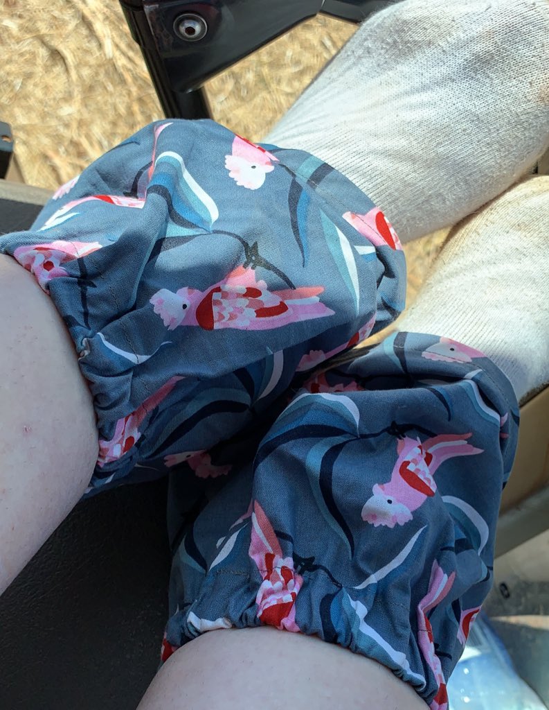 ejsinders's tweet photo. Harvest is the best time to pull out your favourite sock savers 🤩🥰🌾💕
#sarahssocksavers 

#harvest #wheat #canola #farming #condobolin #socksavers https://t.co/rxJpu0Jc1X
