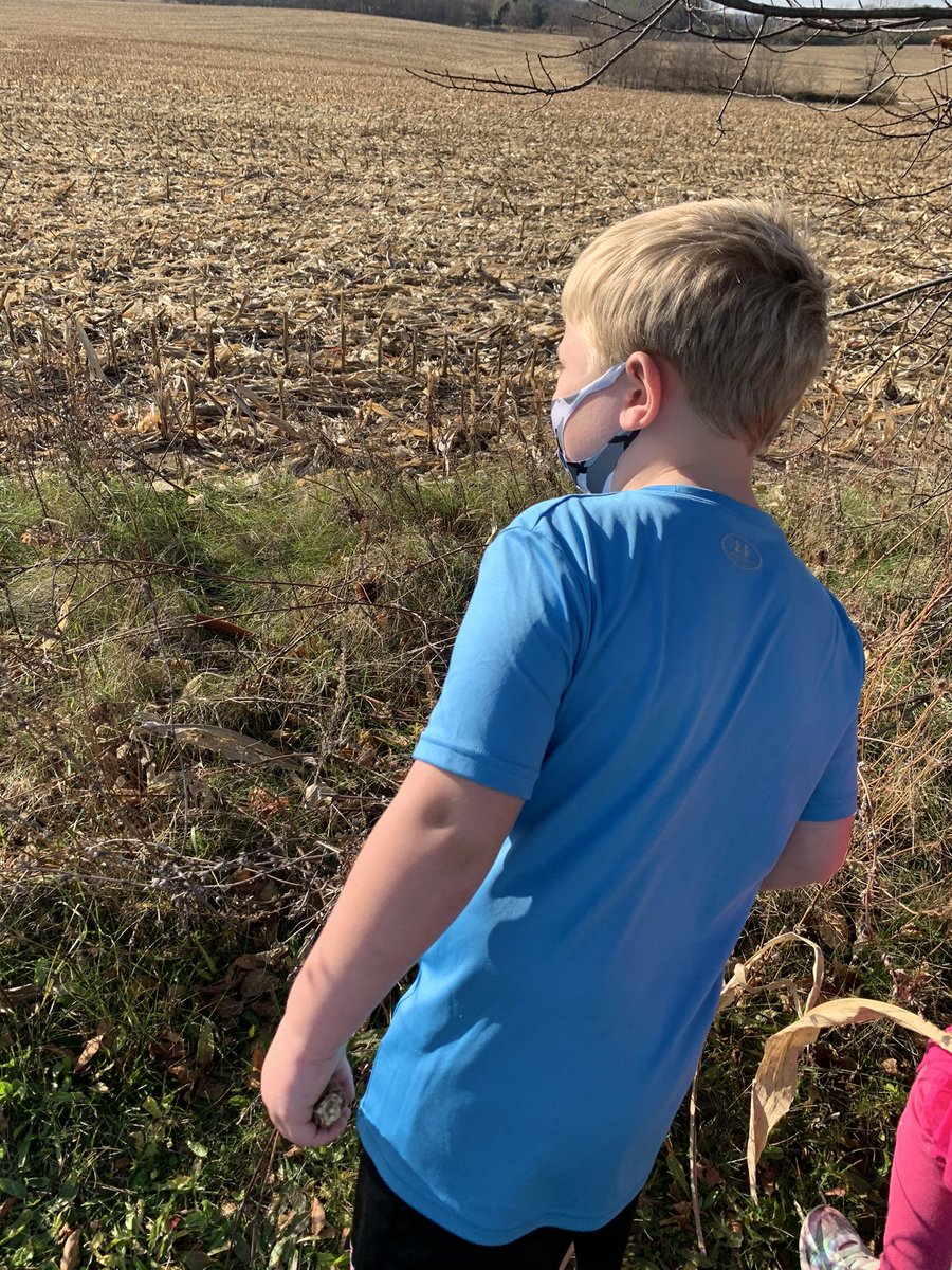 KNormoyleHBT's tweet photo. How great to have a farm field by our school. We were able to have some great conversations about harvesting and farming today! 🌽🚜 https://t.co/rZR4F7qgUn