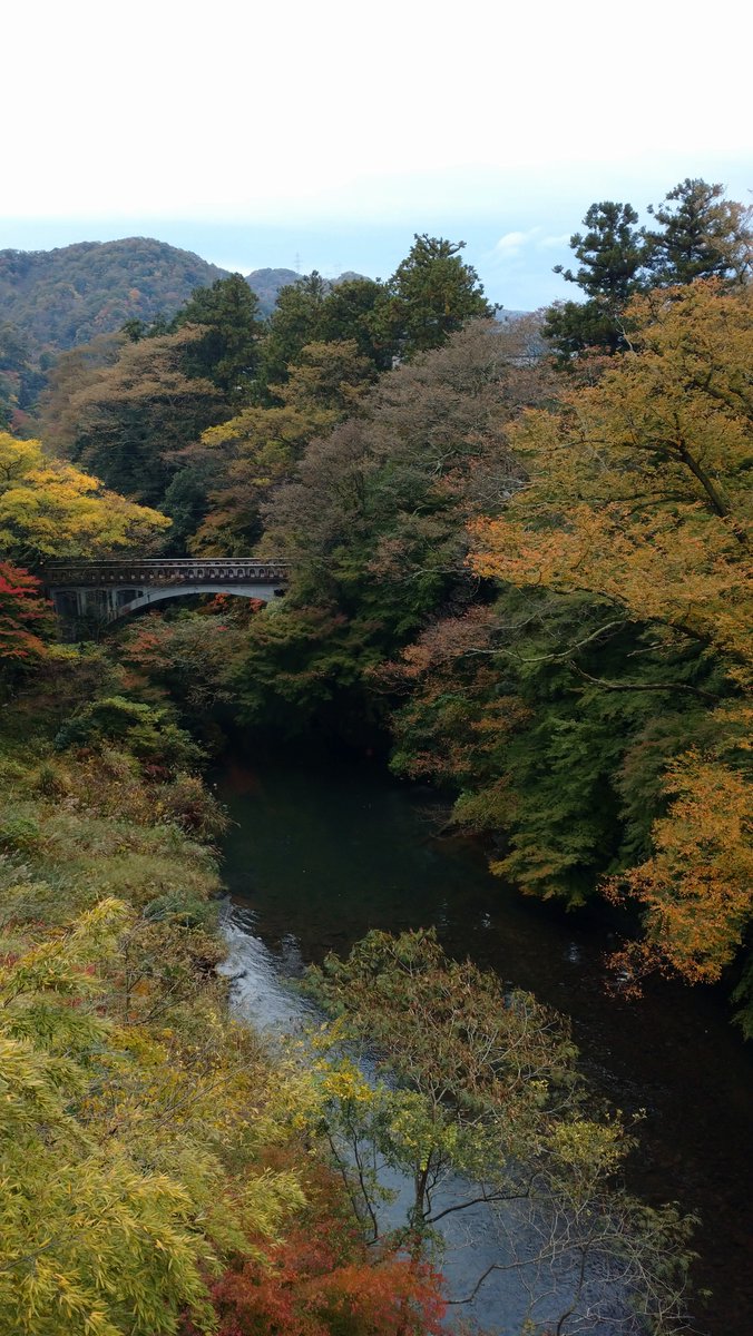 山中温泉観光協会 日本の美と 渓谷の温泉と V Twitter 多くの観光客で賑わいをみせる鶴仙渓の紅葉 11月初旬から徐々に色づき始め 中旬頃見ごろを迎えます 本日朝の黒谷橋です 鶴仙渓下流付近は綺麗に色づいていました 上流のあやとりはしやこおろぎ橋付近の 山中温泉観光協会 日本の美と 渓谷の温泉と V Twitter 多くの観光客で賑わいをみせる鶴仙渓の紅葉 11月初旬から徐々に色づき始め 中旬頃見ごろを迎えます 本日朝の黒谷橋です 鶴仙渓下流付近は綺麗に色づいていました 上流のあやとりはしやこおろぎ橋付近の