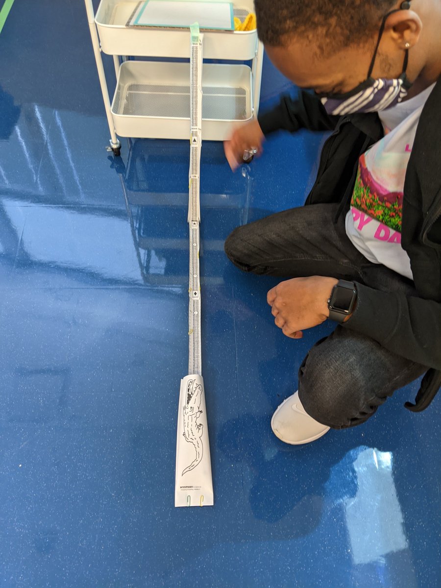 Mrs_Milton22's tweet photo. This week was full of lots of learning and of course, fun because in #Room104 we believe both are possible and important! 💙💛 #functional #vocational #teachablemoments #handsonscience #wematched #quickphoto #SeniorMemories #teamwork https://t.co/IqGu8EUBYC