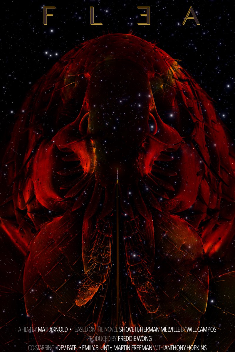 Tanner Koomar tweet media