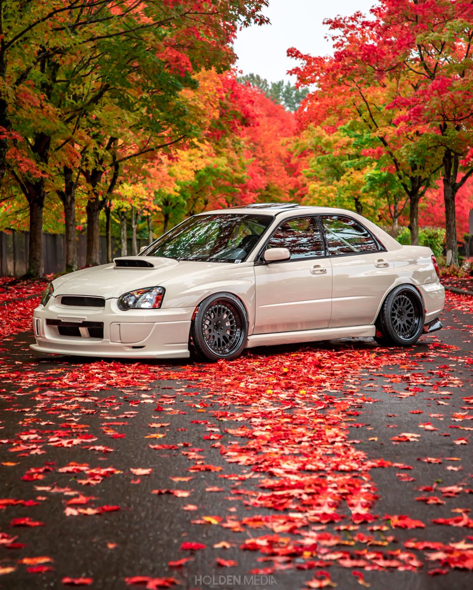 subaru_usa's tweet photo. Comment 🍂 if you're feeling these fall vibes. (📸: Holden Bucher) https://t.co/CNMb4HPVKG
