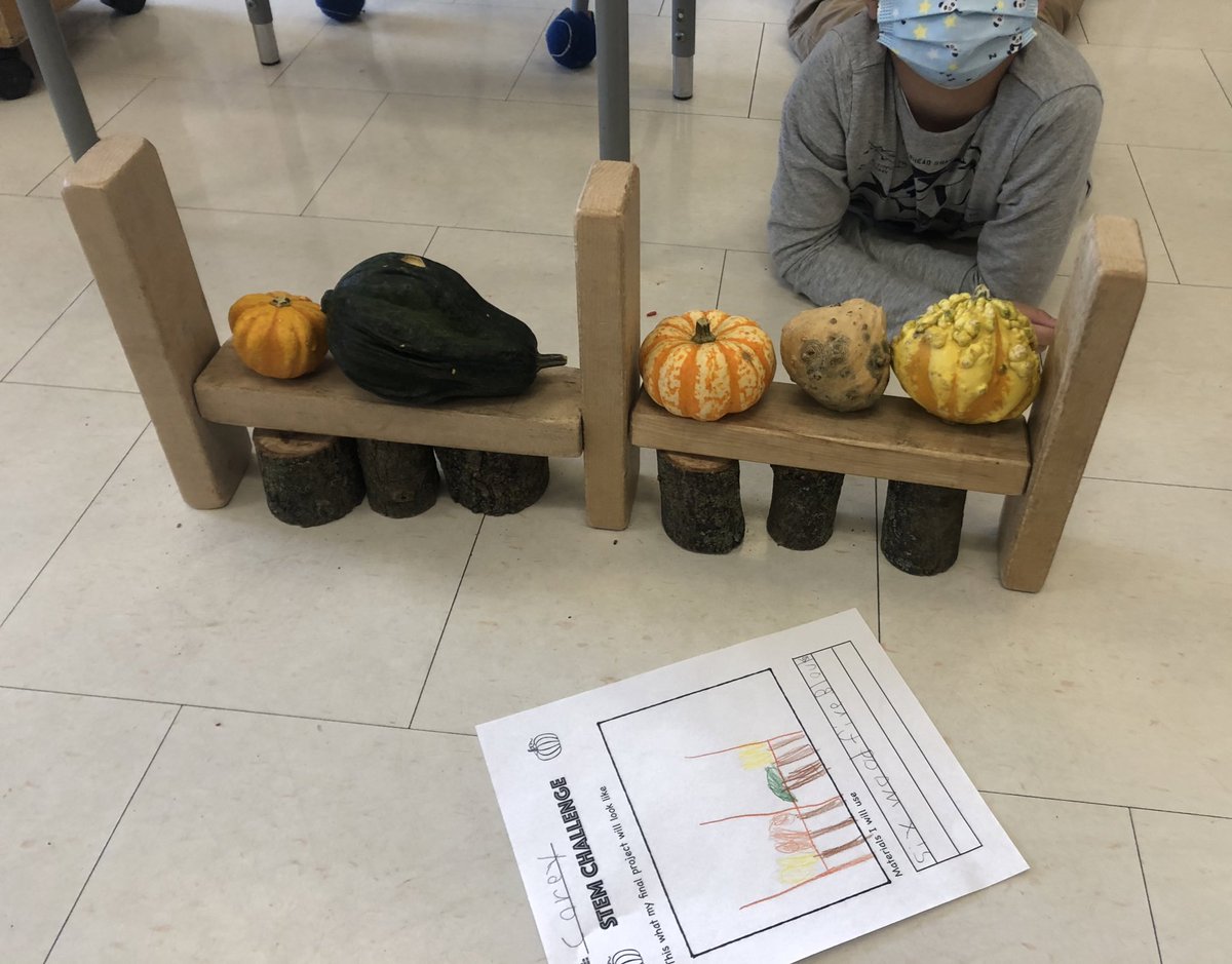 MsIkonomou's tweet photo. “5 little pumpkins sitting on sitting on a gate” stem challenge was a huge success! They loved the different decorative gourds. #stemchallenge #pumpkins #gourds #problemsolving #grade1/2 #grade1 #gradeone #grade2 #gradetwo #iteachfirst #iteachsecond https://t.co/QGzUXaxPgm