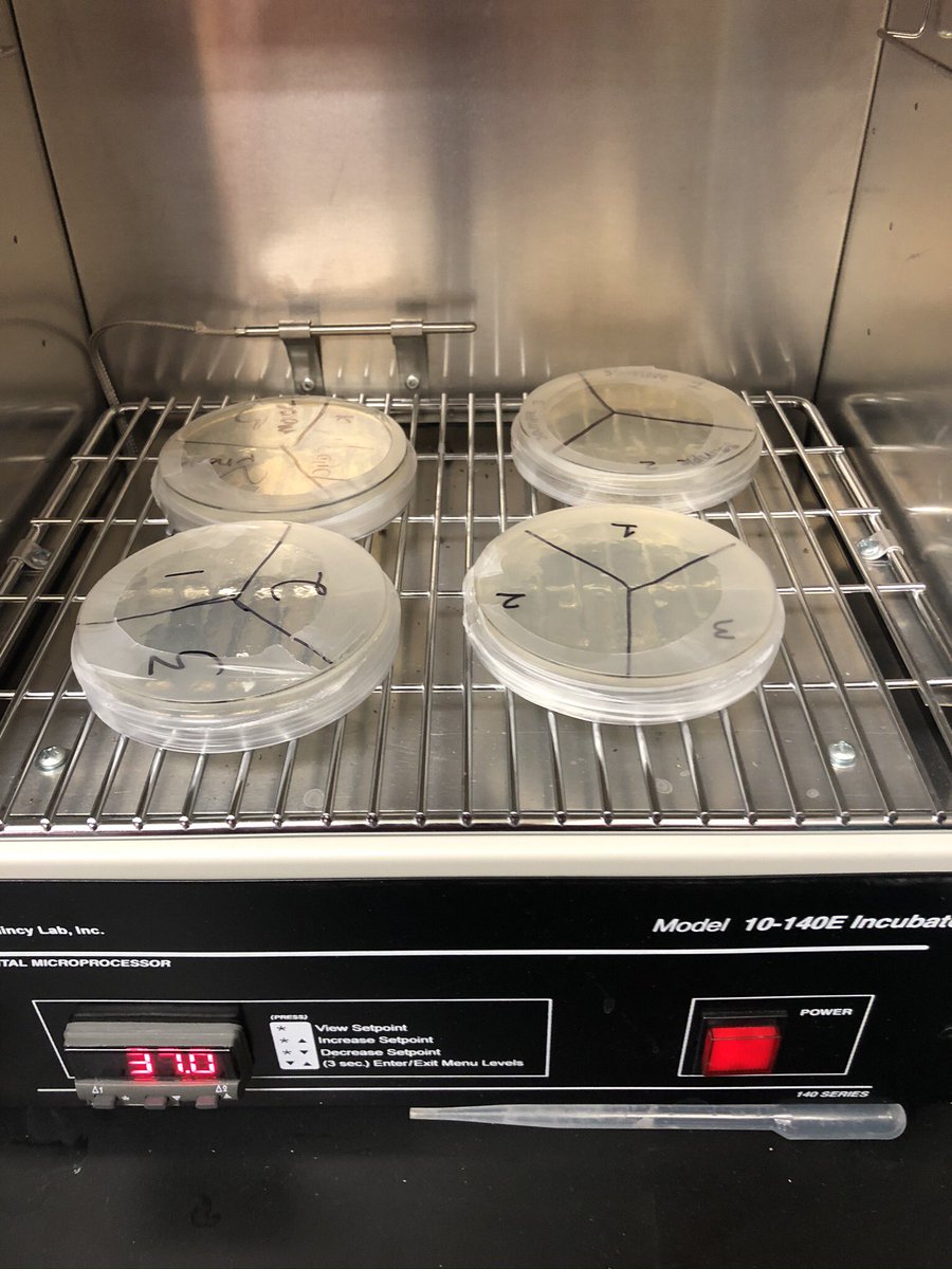 coltonagman's tweet photo. What a crazy Friday, started off with root exam lab, then electrophoresis in Biotech, next a biosecurity lab in Animal Science then end the day with freshmen running a pH lab in AFNR #alotoflabs #case4learning #lovewhatyoudo https://t.co/1Mcin1NYkd