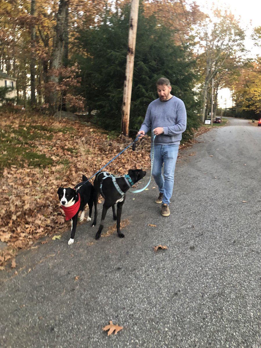 BoardgameHound's tweet photo. I got a new family today &amp; they seem pretty nice. I hear they like #boardgames. I’m gonna have to figure out how those work but I think I like this idea. They’re definitely at eye level since I’m as tall as the tables. https://t.co/l6i1uk4fYR