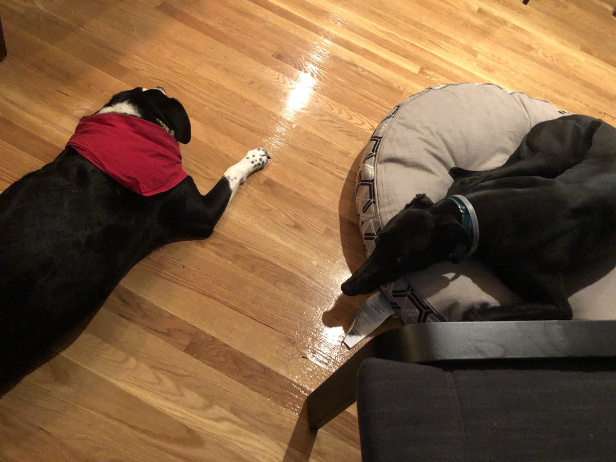 BoardgameHound's tweet photo. My brother is already my favorite... https://t.co/yewx9Xv0Ip
