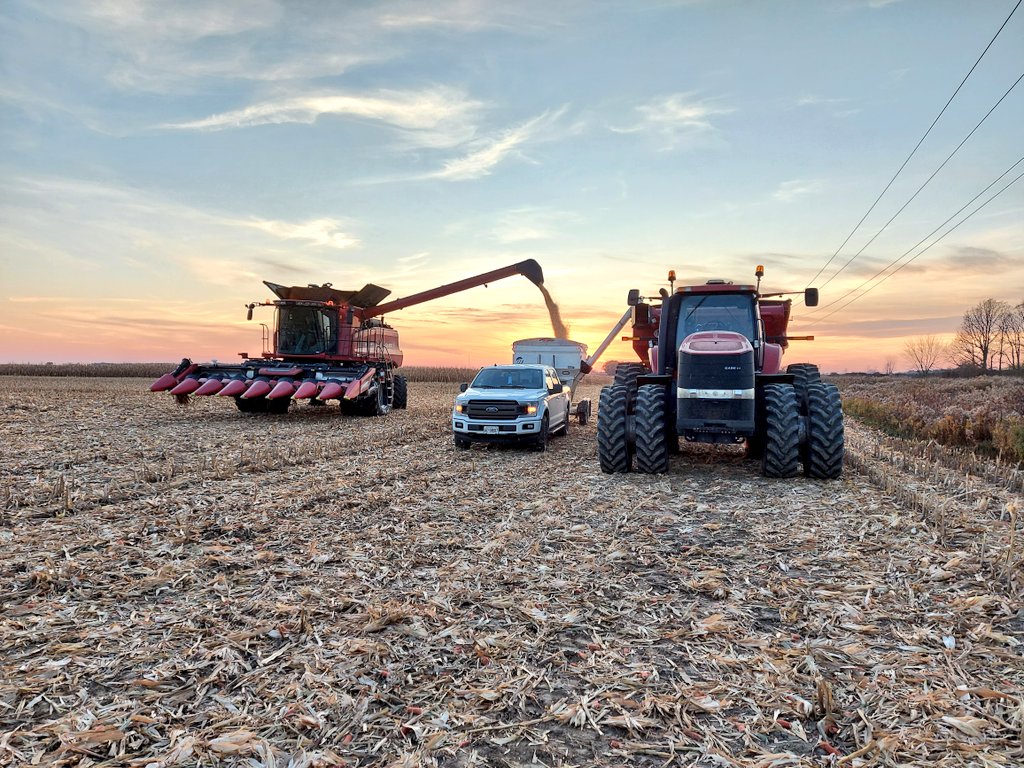 henryprinzen's tweet photo. It sure was a great day to get a few corn plots done! A bunch of nice red combines too! #Corn2020 #Harvest2020 #HammerDown @Maizex https://t.co/ucHMGmUaVA