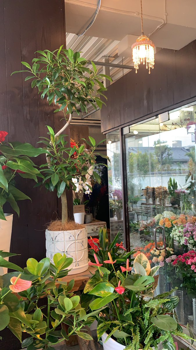 f328com's tweet image. 11月最初の週末　曇り空に季節の始まりを感じます