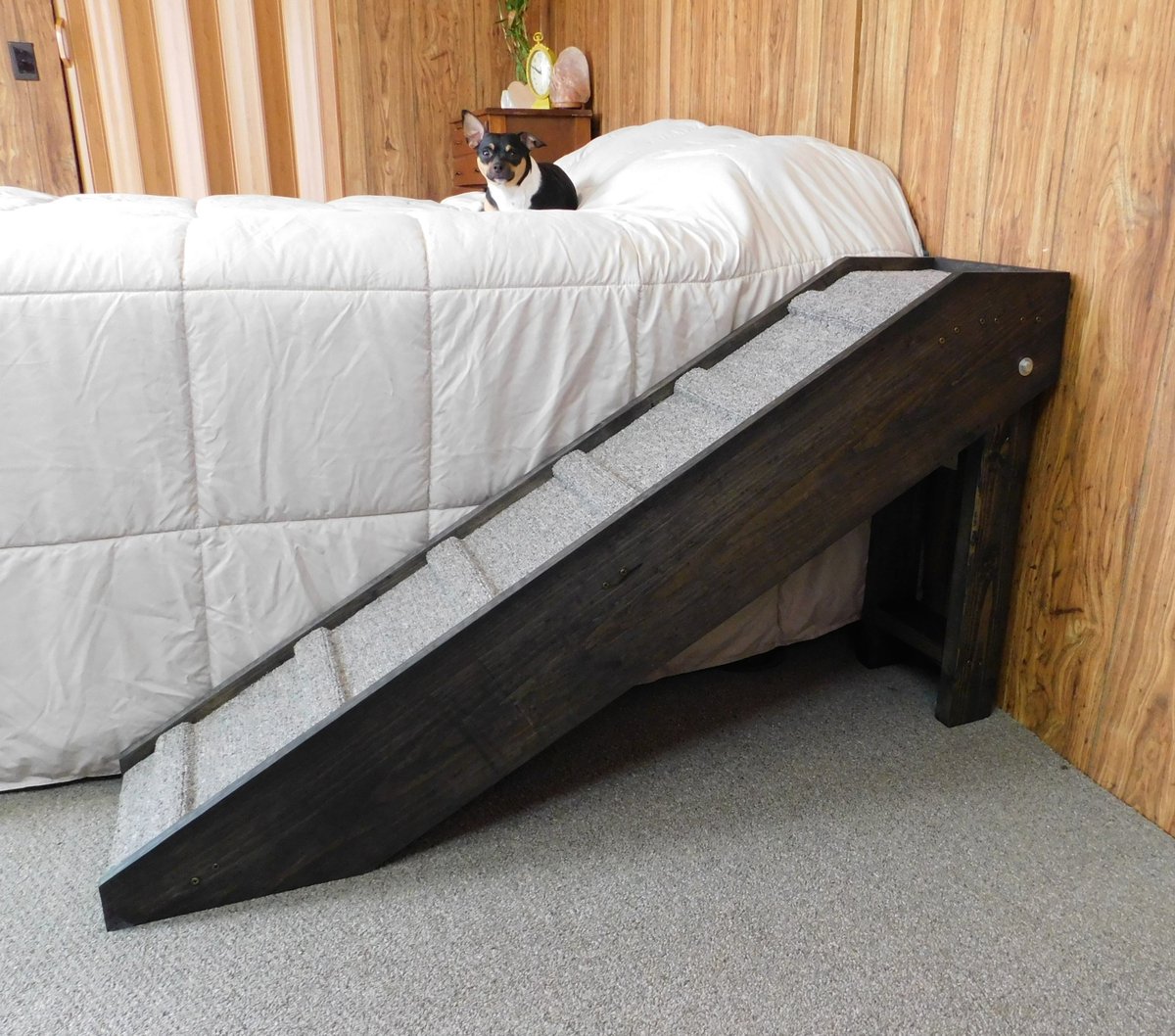 PetSteppin's tweet photo. Buyers are raving! This shop got multiple 5-star reviews in the past 7 days.
https://t.co/UI3PwUNbGk #dog #Dogmoms #furbaby #petsteps #petstairs #petramps #christmas #chihuahua #frenchie #doxie https://t.co/XaDsEyd1iZ