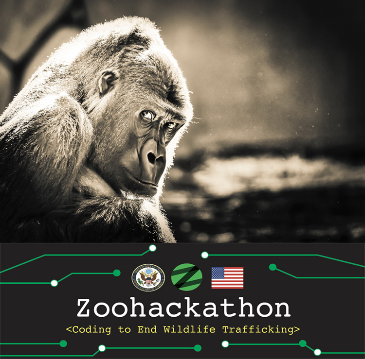 ifawEU's tweet photo. @ifawEU @ifawFR presentation starting in 30minutes join us #zoohackathon2020 #wildlifecrime #itfortheplanet https://t.co/OV8mHqdG0x https://t.co/VIUzS8p7Ds