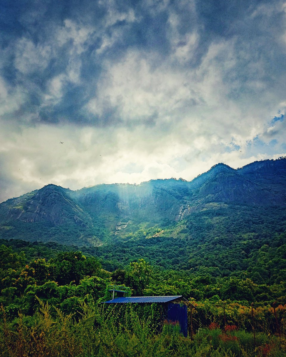 Lost in the captivating sight of the hills, basking in the glory of the sun.

Location: Seetharkundu Waterfalls, near Kollengode in Palakkad.