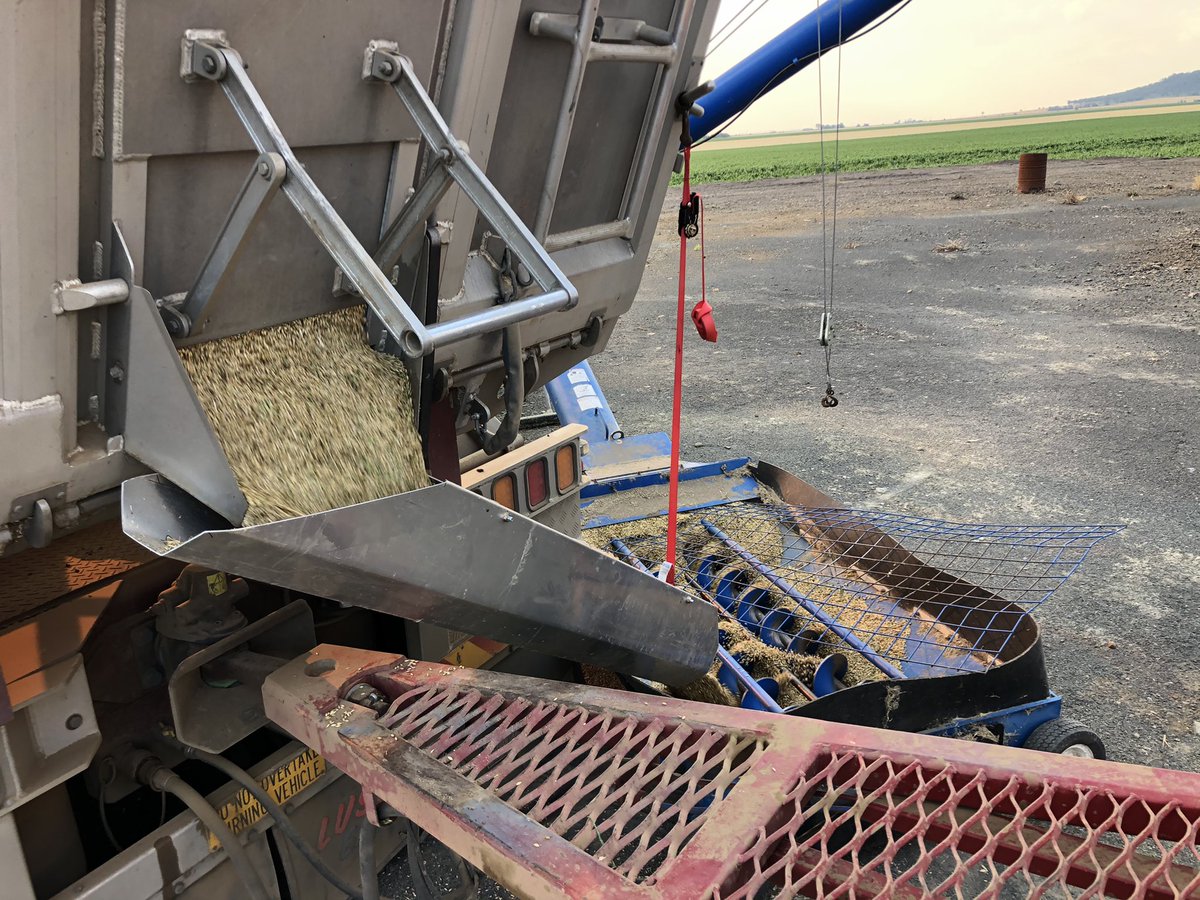 Peter Bach tweet media