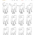 巻かない柴犬もいる 柴犬のしっぽ その巻き方には結構いろいろな種類があるらしいので一覧にしてみた ナイス柴尻 Togetter 巻かない柴犬もいる 柴犬のしっぽ その巻き方には結構いろいろな種類があるらしいので一覧にしてみた ナイス柴尻 Togetter