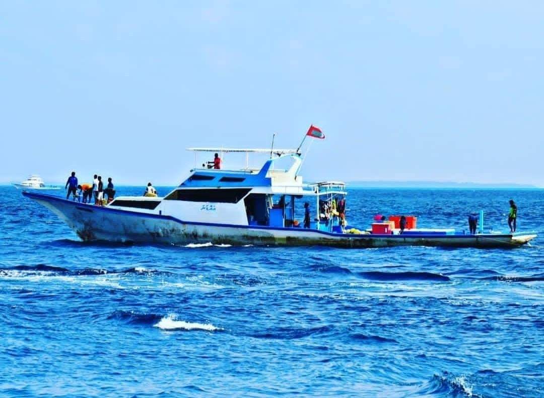 #އައްޑަނަދޯނި
އިހަވަންދޫ ގައި ދެ ވަނައަށް ބަނދެ ބޭލި ފައިބަރު ދޯނި. މަހަށް ފުރާތާ 16 އަހަރު.
ފޮނި ގޯއްޗަށް ނިސްބަތްވާ މި ދޯންޏަކީ އިހަވަންދޫގެ މަސްވެރިކަމުގެ ސިނާޢަތުގެ ޒަމާނީ އިންގިލާބީ ބަދަލުގެ ފެށުން. ފޮނި ގޯތީގަ ހަތަރު ގަނޑެތި މިހާރު ވެސް ދުއްވާ.
#މަސްވެރިއިހަވަންދޫ