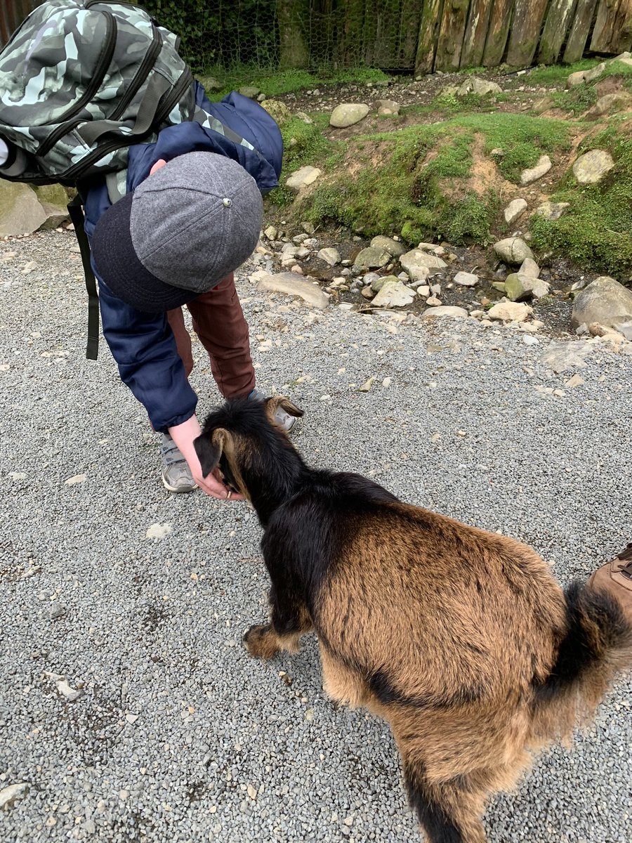 Birthday adventures yesterday for my now 7 year old nature boy! Baby goats that eat out of your hand - what more do you need?