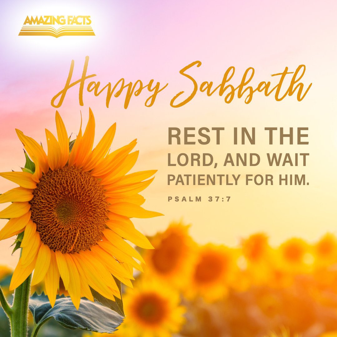 SaintzOutreach_'s tweet photo. Another wonderful day is with us 🤗 https://t.co/i4kLnDtkY2