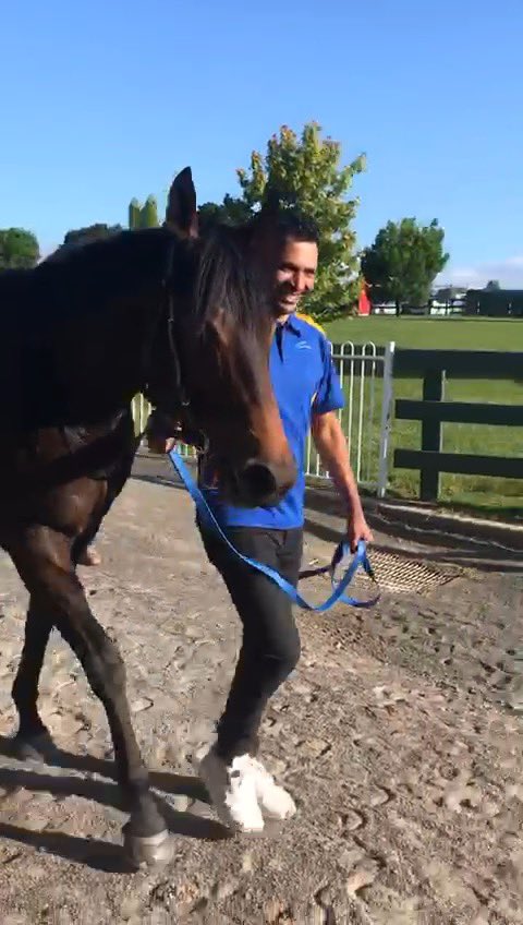 BBakerRacing's tweet photo. 💥 💥It was a nice 3mins with the aptly named for 2020 TESTING TIMES and BROOK HILL saluting at Goulburn and Wyong respectively. The best is yet to come for TESTING TIMES and BROOK HILL will be better over further... https://t.co/OjMf8gdgz2