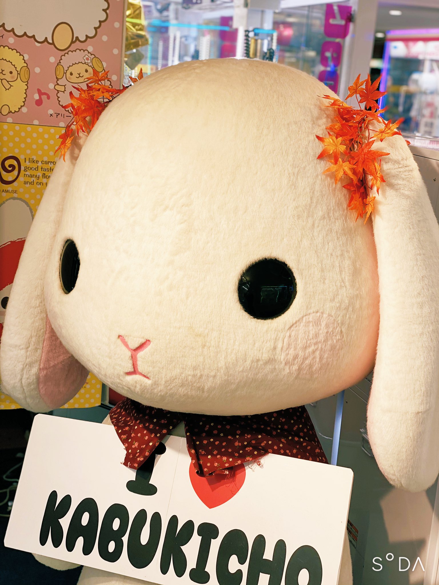ぽてうさろっぴー【ViViViさま 専用ページ】 ぽてうさろっぴーの商品一覧｜アミューズ公式オンラインショップ