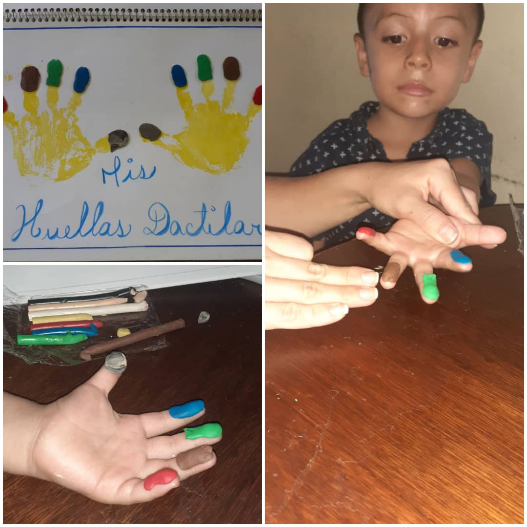 hacienditacei's tweet photo. Conociendo la importancia de las funciones del cuerpo (huella dactilar y documentos de identidad) @charlychaves @MPPEDUCACION @ZonaEducTachira @supervisionZET1 https://t.co/jnLCyyiSfI
