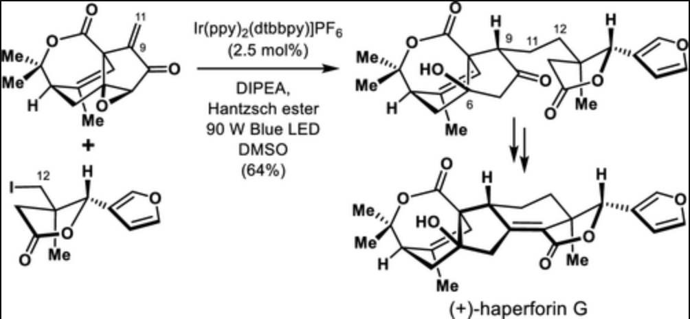 TotalSynthesis's tweet photo. #TotalSynthesis of (+)-Haperforin G by Wei Zhang, Zhenyu Zhang, Jun-Chen Tang, Jin-Teng Che, Hao-Yu Zhang, Jia-Hua Chen, and Zhen Yang in @J_A_C_S https://t.co/wgyAlkFsRf https://t.co/x4betpyCn0