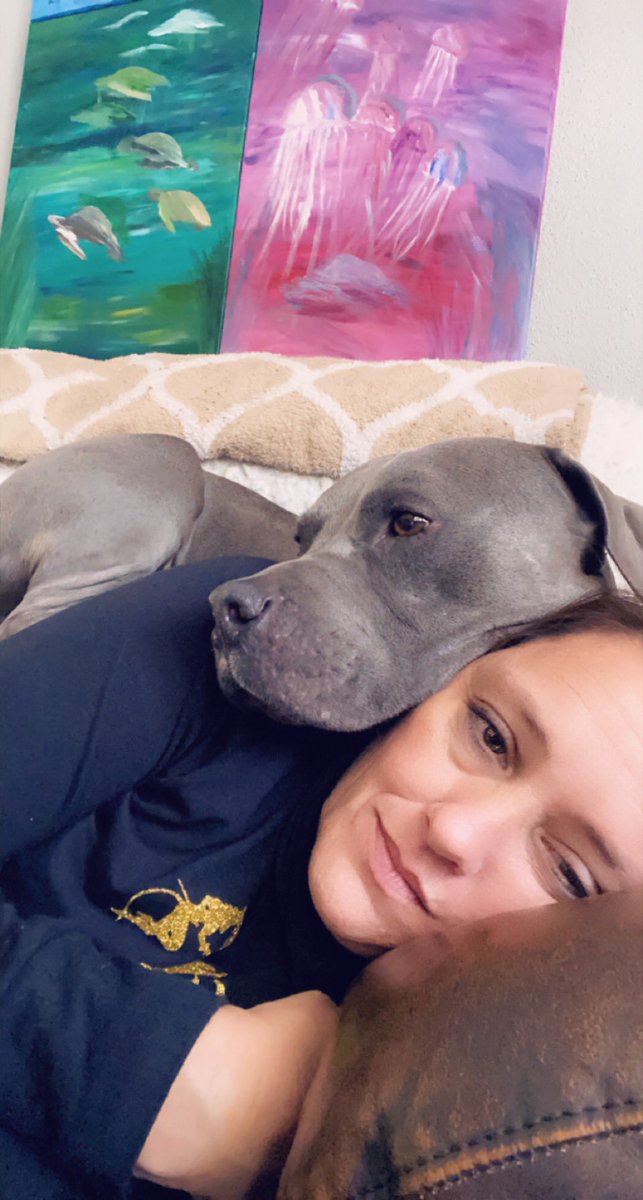 theBluecifer's tweet photo. Personal space? 
psh...
Translation: snuggle closer 

#dailybluecifer
#dogsoftwitter #Dog https://t.co/1gekU1i6FN