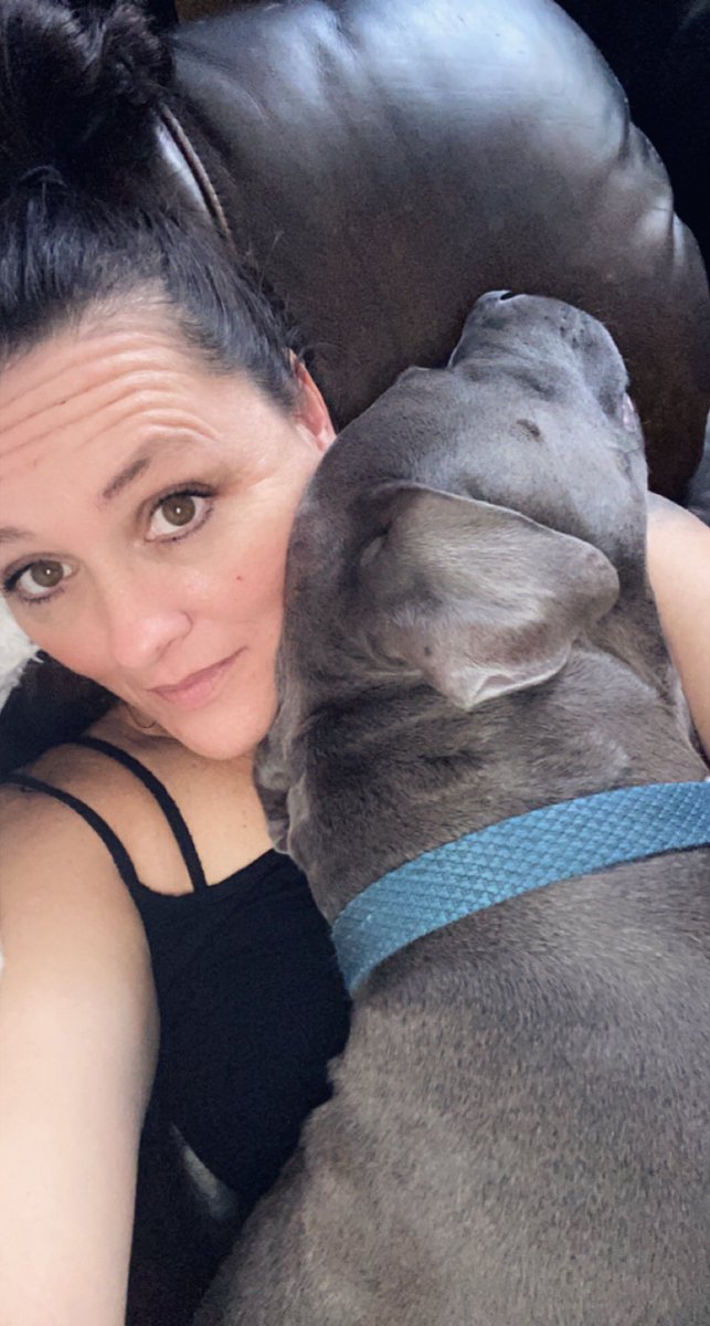 theBluecifer's tweet photo. Personal space? 
psh...
Translation: snuggle closer 

#dailybluecifer
#dogsoftwitter #Dog https://t.co/1gekU1i6FN