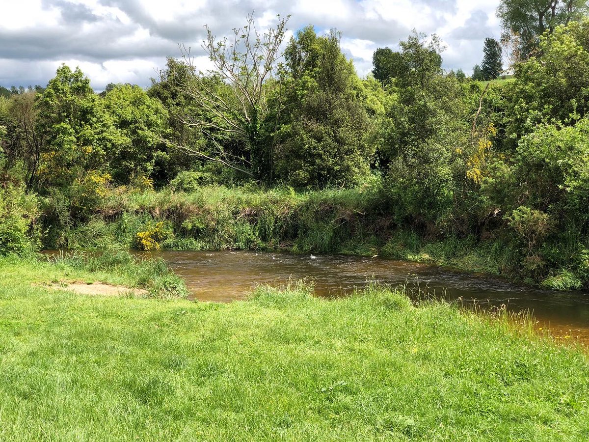 nicefishapp tweet picture