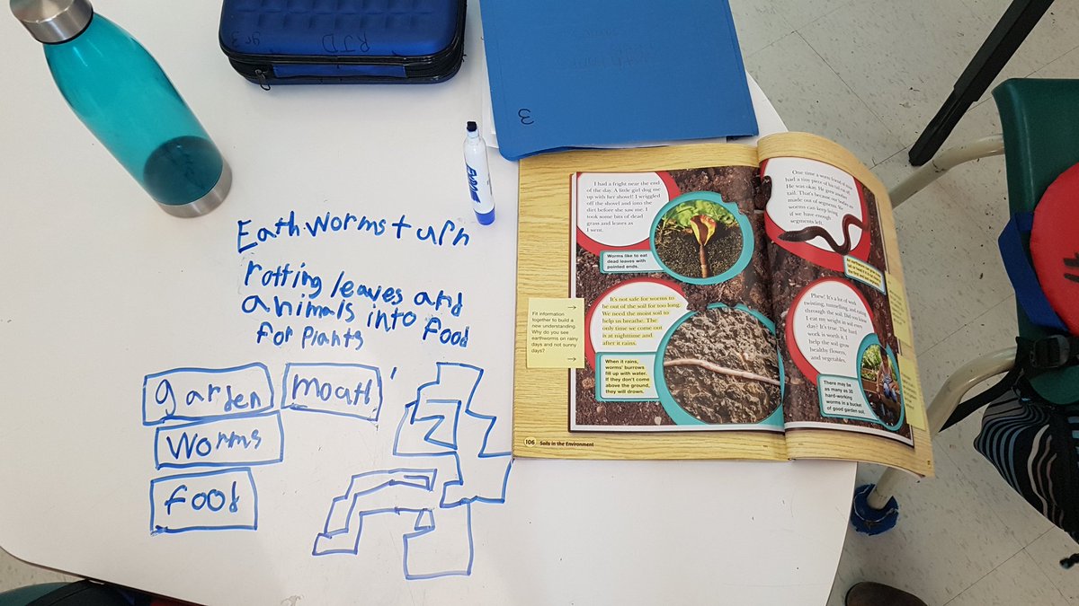 ginghamclass's tweet photo. Going on a noun hunt while learning about wiggly worms and how they help the soil. https://t.co/UjrH1VVlCH
