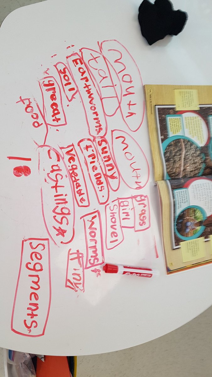 ginghamclass's tweet photo. Going on a noun hunt while learning about wiggly worms and how they help the soil. https://t.co/UjrH1VVlCH
