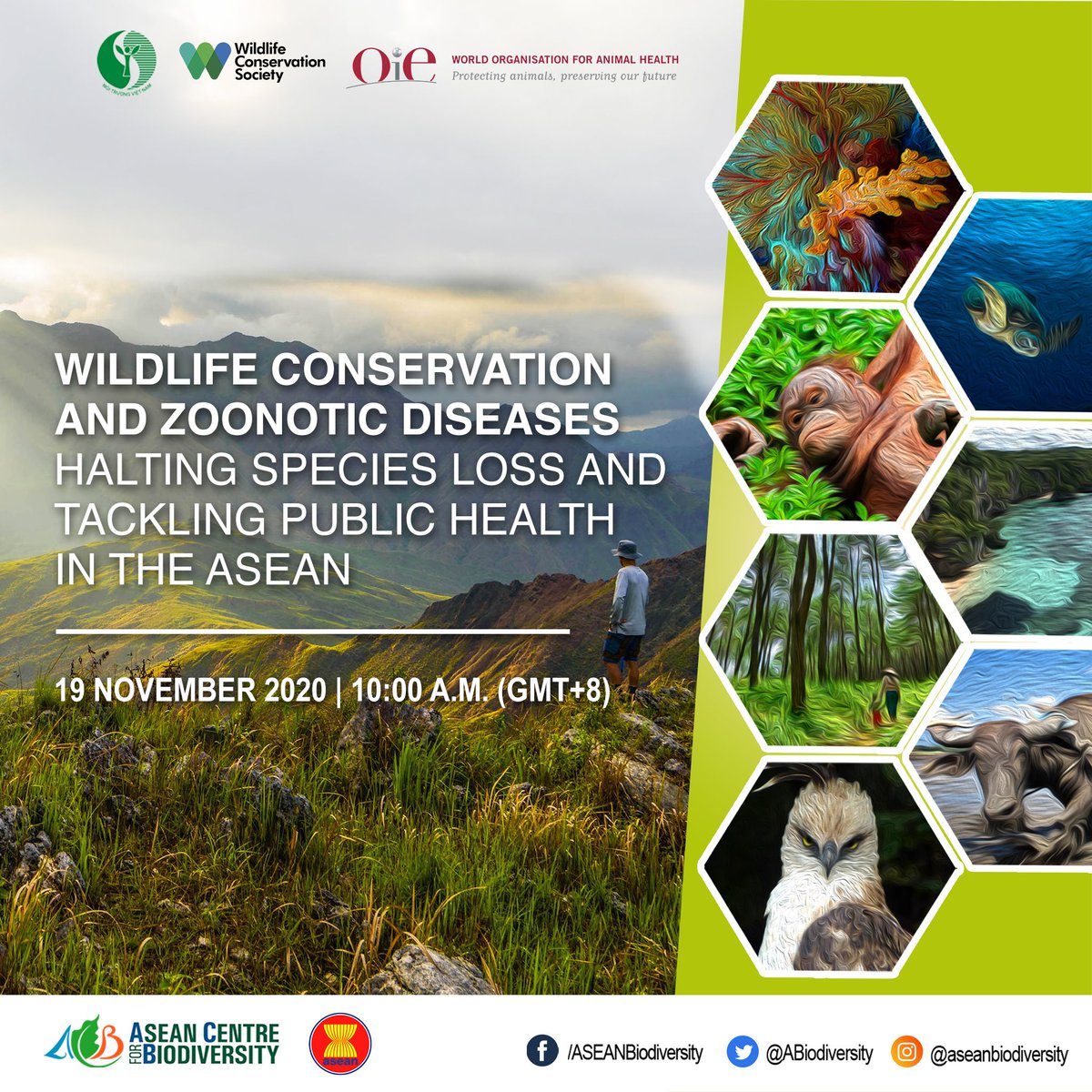 ABiodiversity's tweet image. Join us as we explore the issue of wildlife conservation and zoonotic diseases from the “One Health” perspective. Watch the webinar via Facebook Live on 19 November 2020, 10:00AM GMT+8.

#ASEANBiodiversity
#COVIDー19 
#OneHealth #OneASEAN