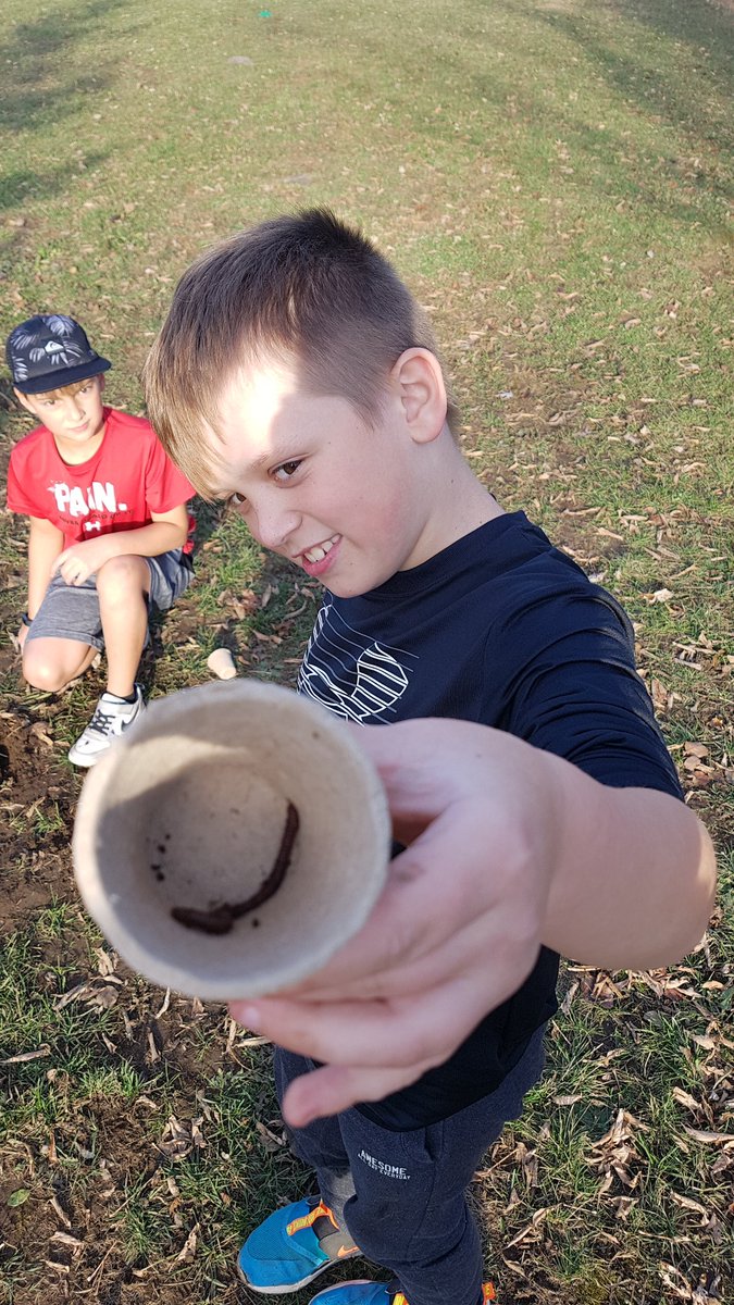 ginghamclass's tweet photo. Hunting for worms to add to our experiment, so we can see what they do to improve the quality of soil. https://t.co/2F3UimdiFQ