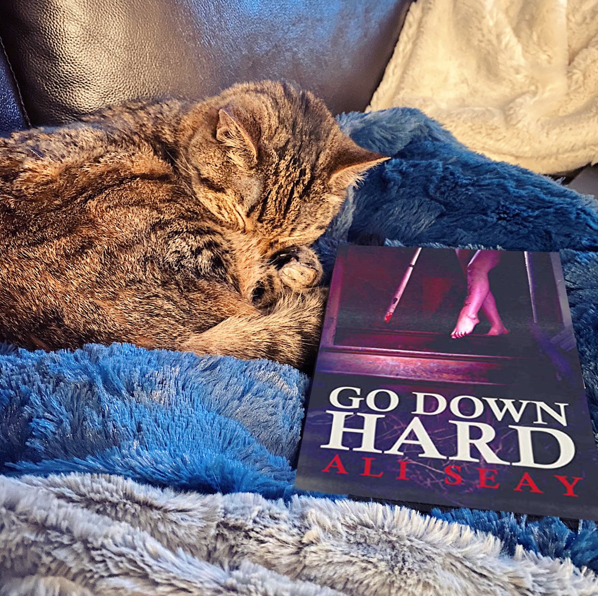 shereadswthcats's tweet image. Thank you so much @GrindhousePress and @Night_Worms for my copy of #GoDownHard - check out my full review on @instagram: instagram.com/p/CHMbeaGAv48/… 

#BookReviews #Horror #shereadswithcats