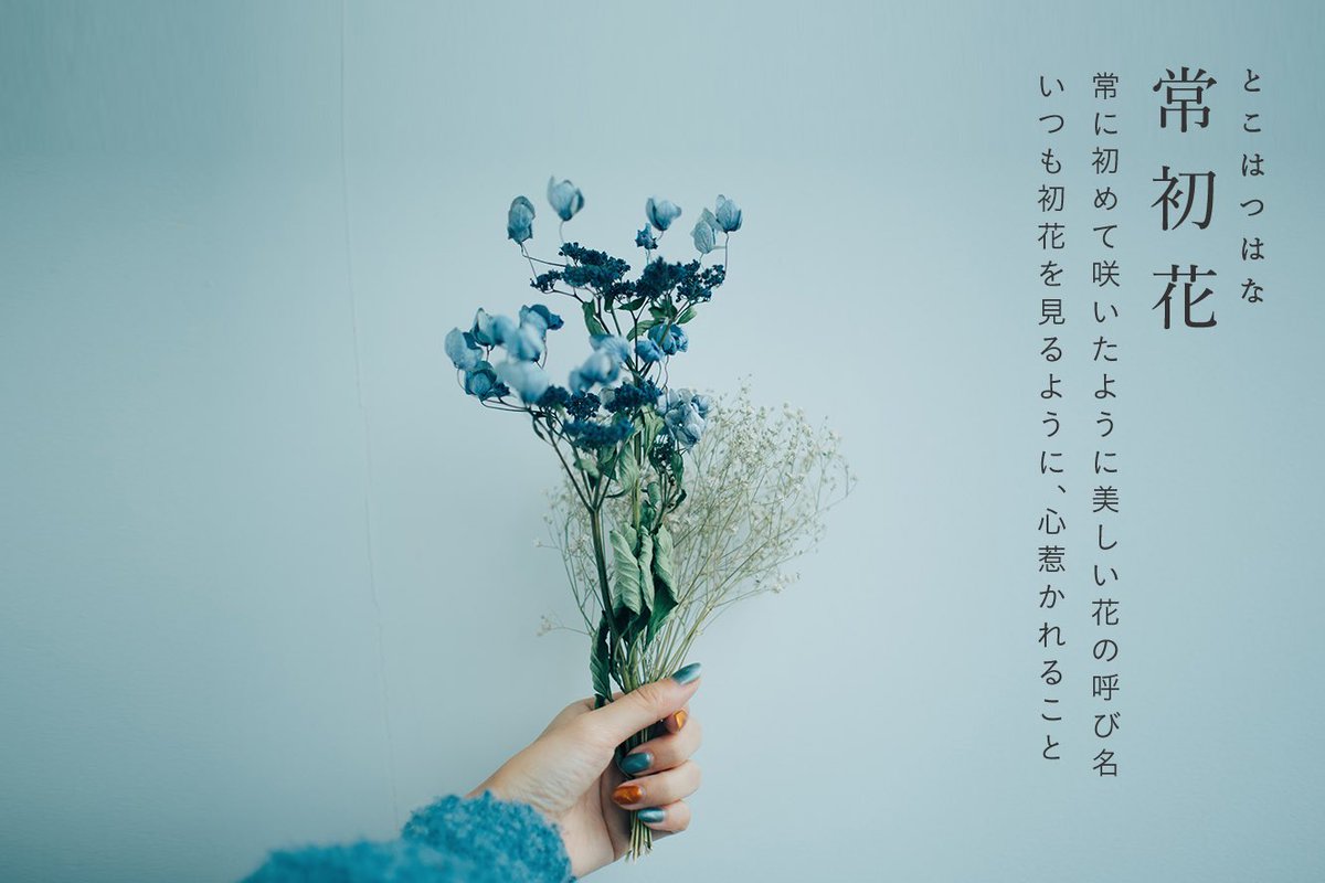 古性のち 雨夜の星をさがして 花にまつわる 響きも美しい可憐な和語達 T Co Szeaogf5sd Twitter
