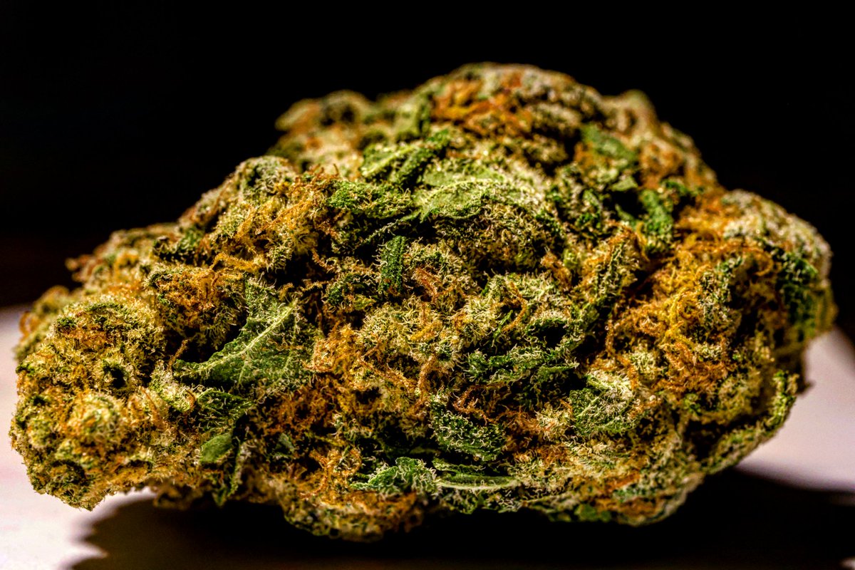 HotCellaMusic's tweet photo. Fun With Macro #photography #photographer #cannabiscommunity #cannabis #marijuana #bannanapunch #macro #macrophotography #productphotography #fotografia #foto #picoftheday #photooftheday #potd #fallriver #Massachusetts #SousaImageWorks https://t.co/oFVYXT4Lg8