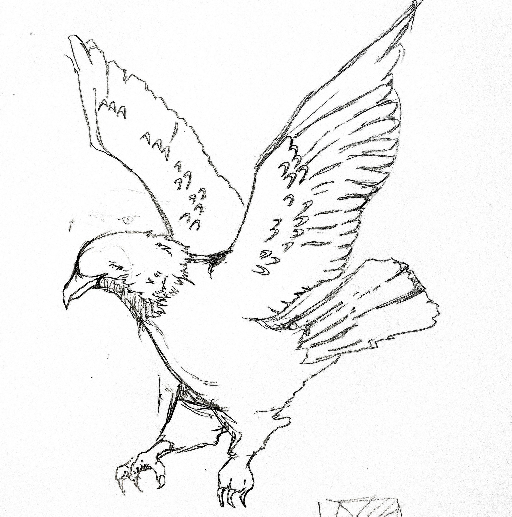 Nexus Travadesign マスロゴ依頼ok たまにはリアルな鷲を描きましょう 落書き イラスト T Co 1fglu4hooe Twitter