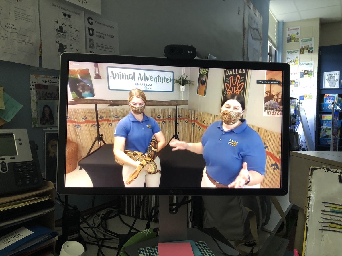cparafinik's tweet photo. Thanks to the @DallasZoo for giving our students a fun virtual field trip! #bisdlearns #rerockets #bisd https://t.co/rjUsZKfnAR