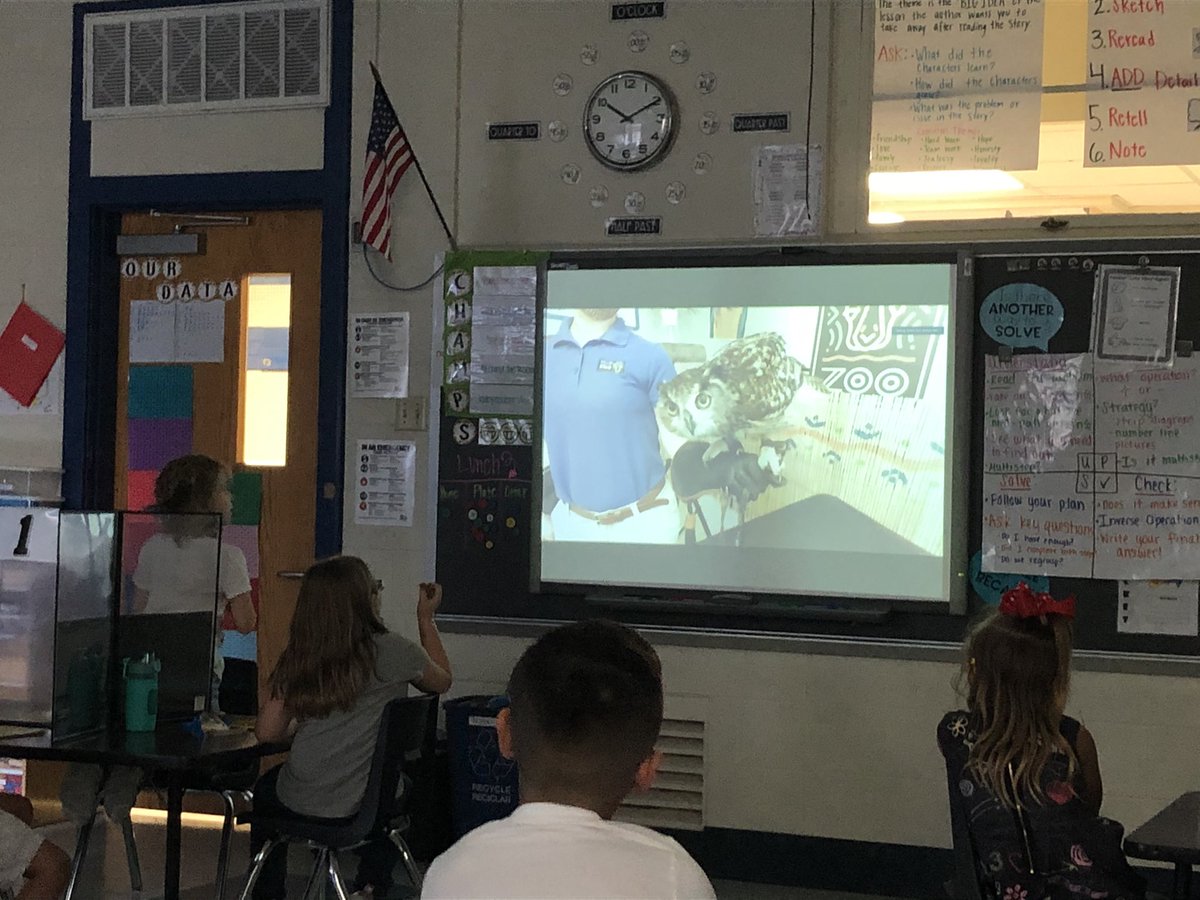 cparafinik's tweet photo. Thanks to the @DallasZoo for giving our students a fun virtual field trip! #bisdlearns #rerockets #bisd https://t.co/rjUsZKfnAR